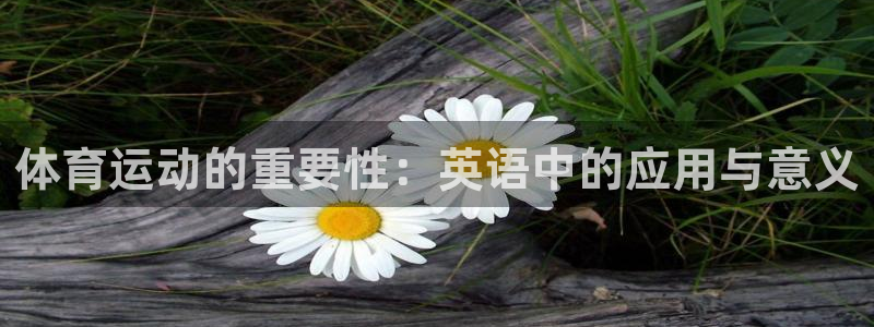 球速体育：体育运动的重要性：英语中的应用与意义