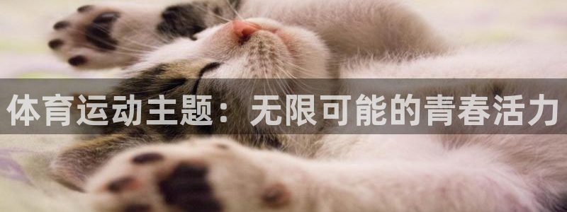 球速体育：体育运动主题：无限可能的青春活力