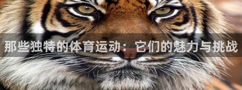 球速体育：那些独特的体育运动：它们的魅力与挑战