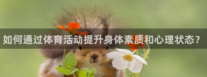 球速体育：如何通过体育活动提升身体素质和心理状态？