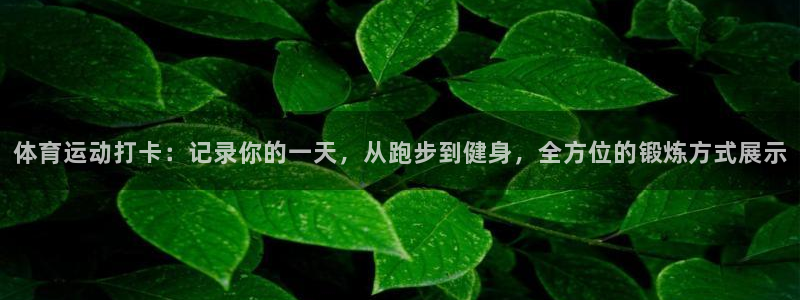 球速体育：体育运动打卡：记录你的一天，从跑步到健身，全方位的锻炼方式展示