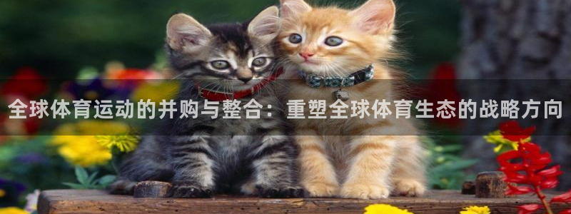 球速体育：全球体育运动的并购与整合：重塑全球体育生态的战略方向