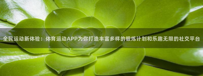 球速体育：全民运动新体验：体育运动APP为你打造丰富多样的锻炼计划和乐趣无限的社交平台