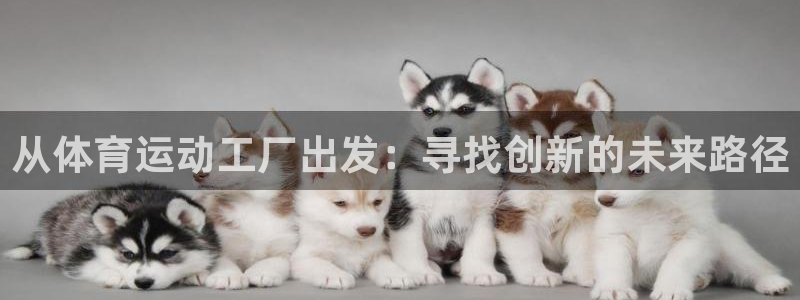 球速体育：从体育运动工厂出发：寻找创新的未来路径